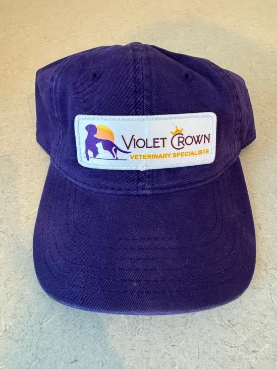 Purple Otto Relaxed Fit OSFM Dad Hat