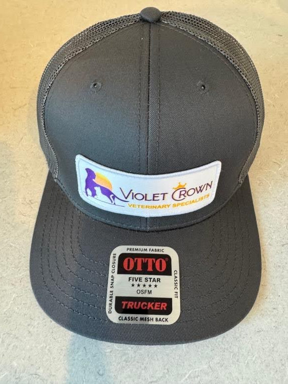 Gray Otto 5 Star Trucker Hat