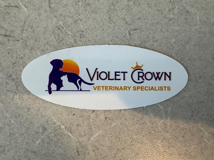 VCVS Logo Sticker